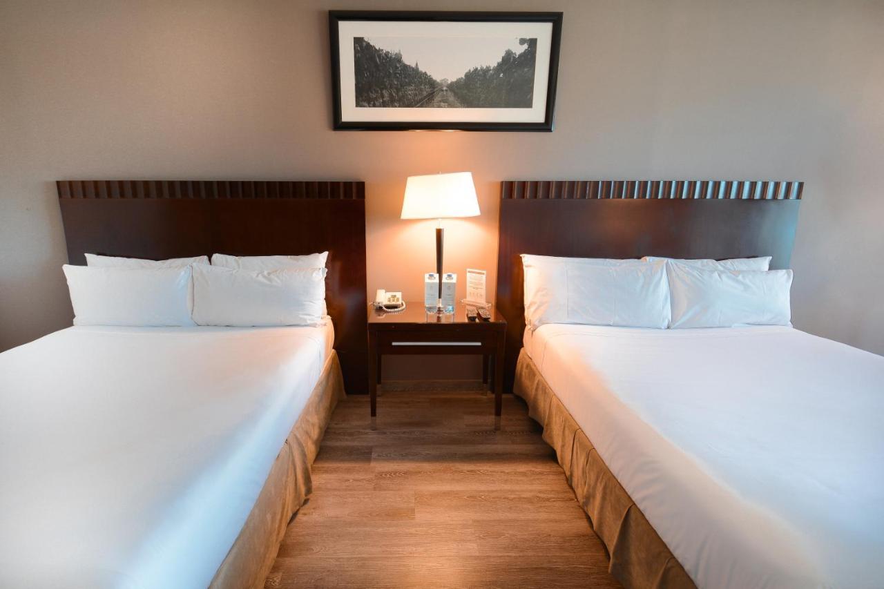 فندق ديبلوماتيك ميندوزا المظهر الخارجي الصورة A room at the hotel
